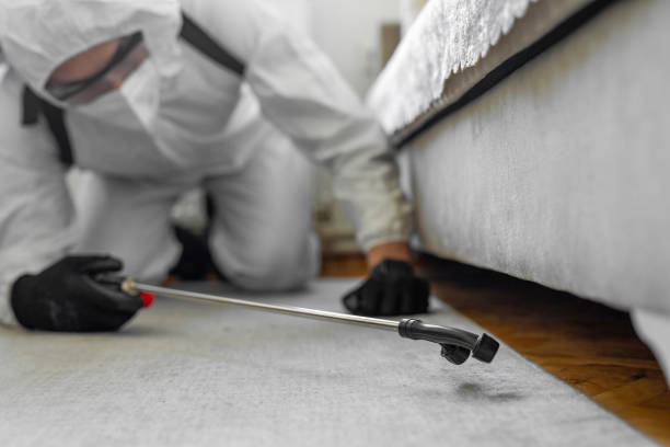 Professional Cockroach Control technician working in Niles, IL